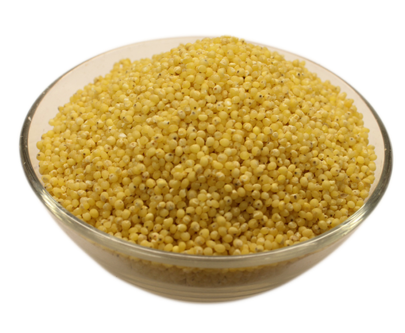 Buy Organic Hulled Millet Online in Wholesale Nuts in Bulk