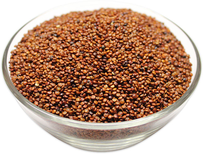 buy organic red quinoa seeds in bulk