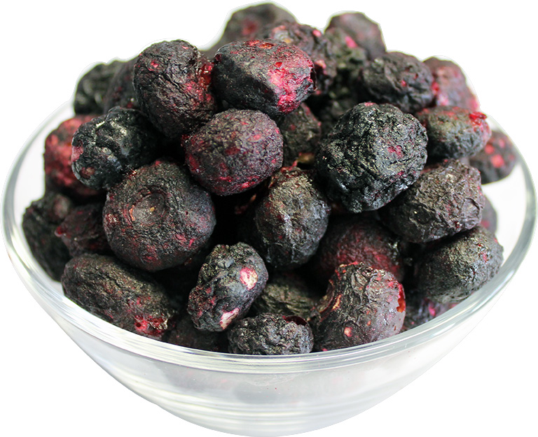 buy freeze dried blueberries in bulk