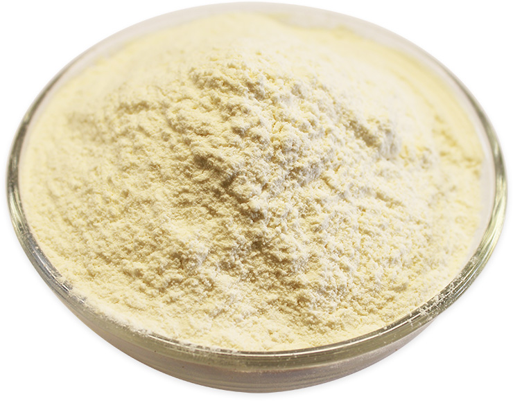 buy garlic powder in bulk