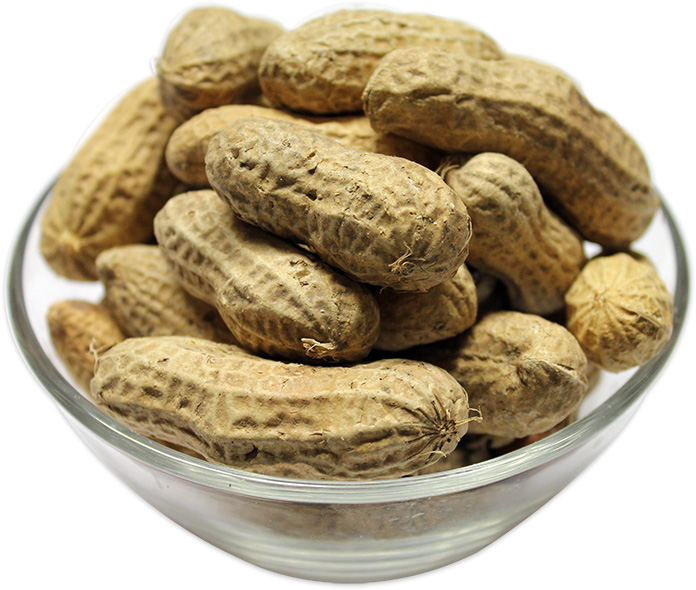buy monkey peanuts in shell in bulk