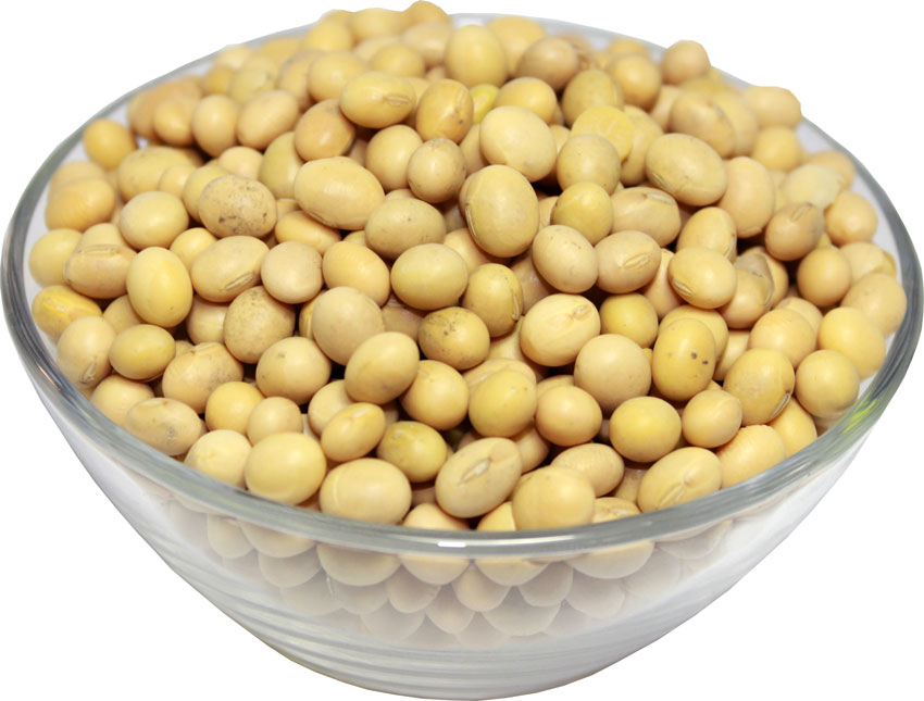 Buy Soybeans in Bulk Online