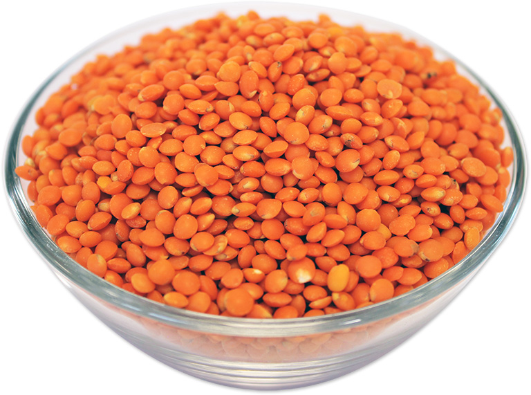 buy red lentils whole in bulk