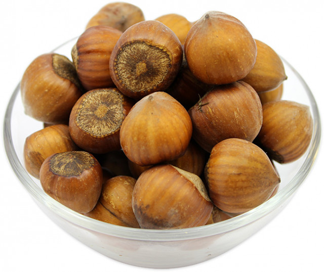 buy hazelnuts in shell in bulk