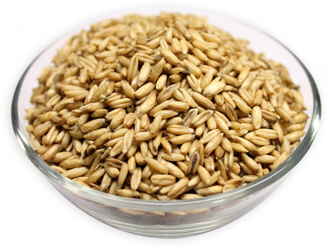 buy barley grain hulled in bulk