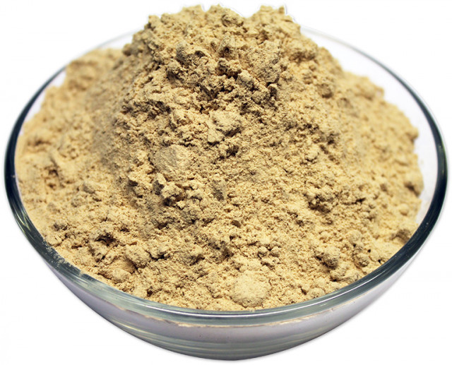 buy rice protein in bulk