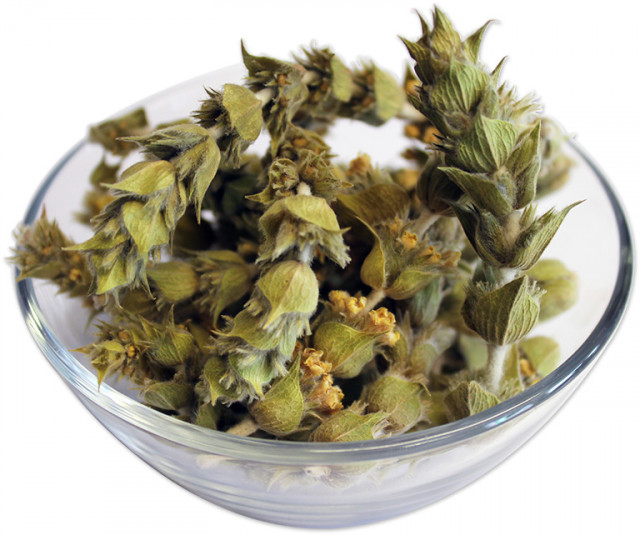 buy mountain tea in bulk