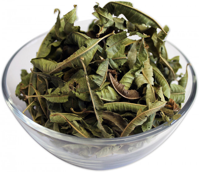 buy verbena tea in bulk