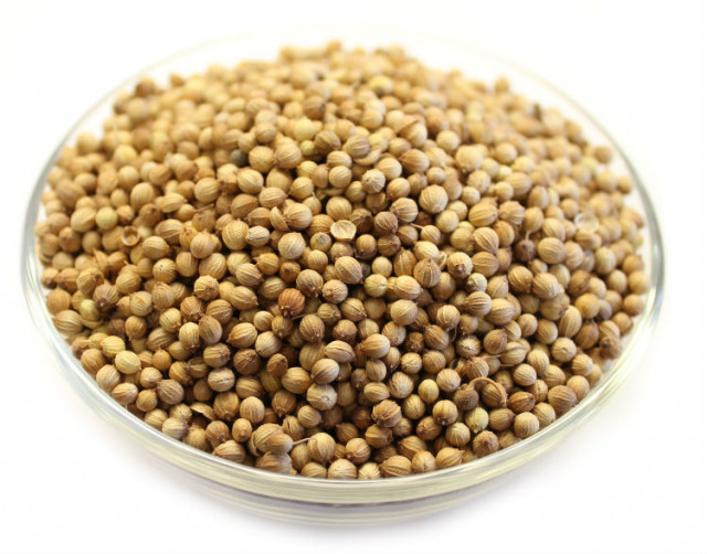 buy whole coriander seeds in bulk