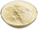 buy Indian garlic powder in bulk