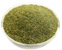 buy dried dill in bulk